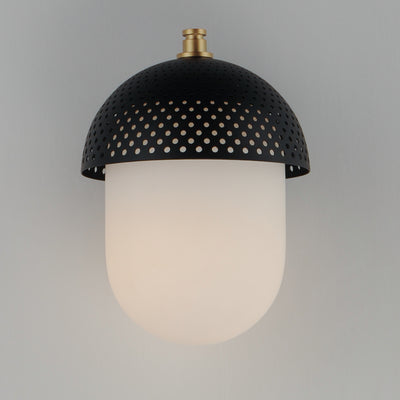 Perf - 1 Light Outdoor Wall Sconce