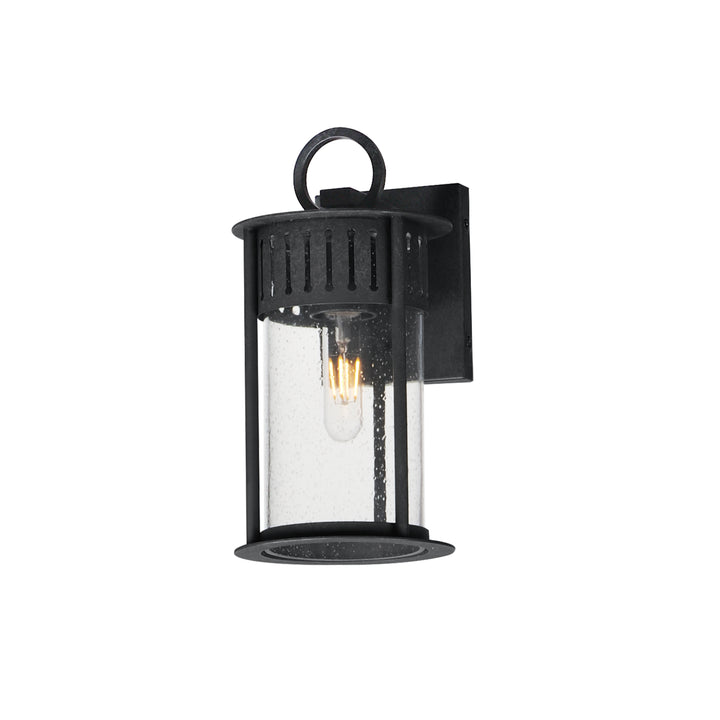 Windsor 1-Light Small Outdoor Wall Sconce CDBKP