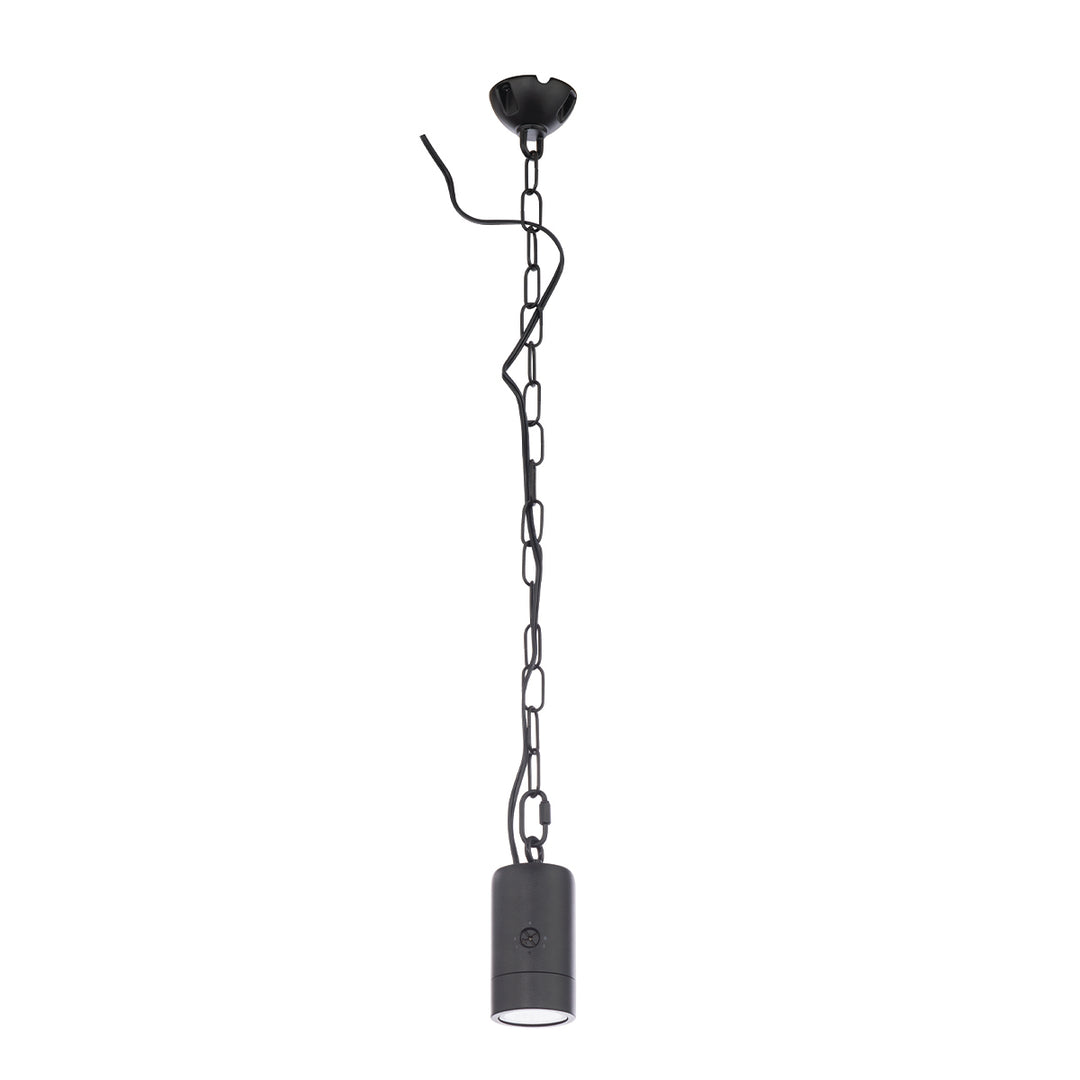 Tree Light 12V AL 27/30/40K in Black on Aluminum by WAC Lighting
