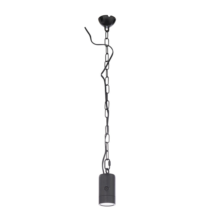 Tree Light 12V AL 27/30/40K in Black on Aluminum by WAC Lighting