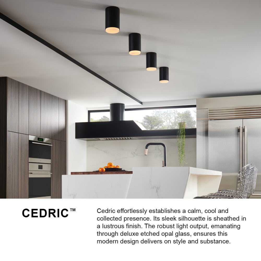 Cedric Flush Mount