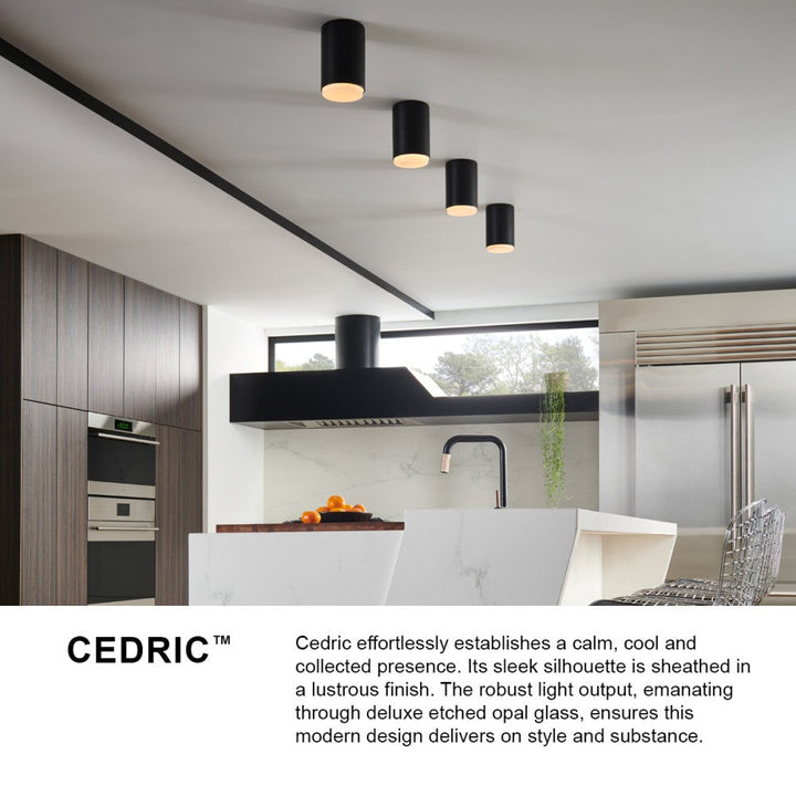 Cedric Flush Mount