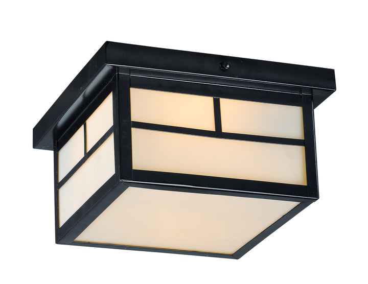 Coldwater 2-Light Outdoor Ceiling Mount White / Black