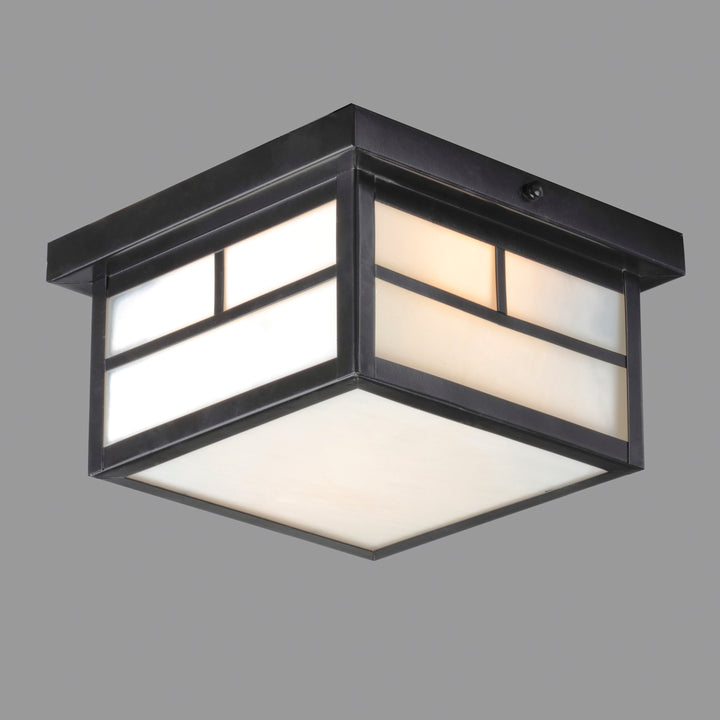 Coldwater 2-Light Outdoor Ceiling Mount White / Black alternate view