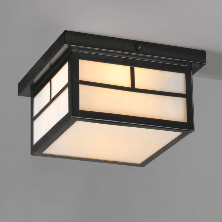 Coldwater 2-Light Outdoor Ceiling Mount White / Black alternate view