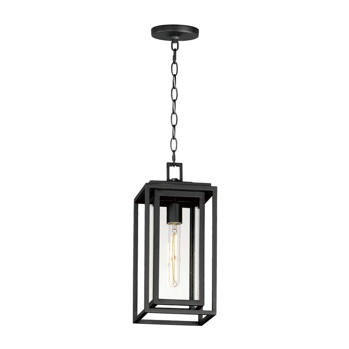 Cabana VX 1-Light Outdoor Hanging Pendant Black
