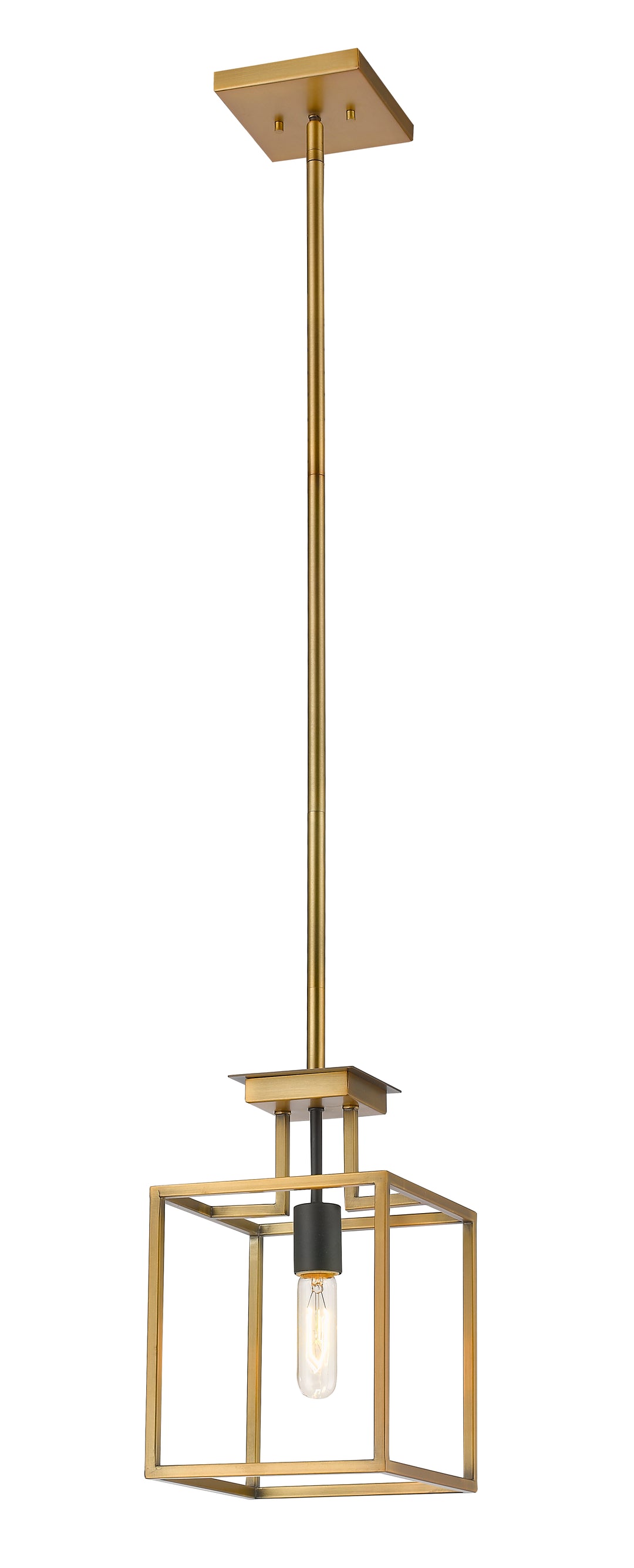 Quadra - 1 Light Pendant