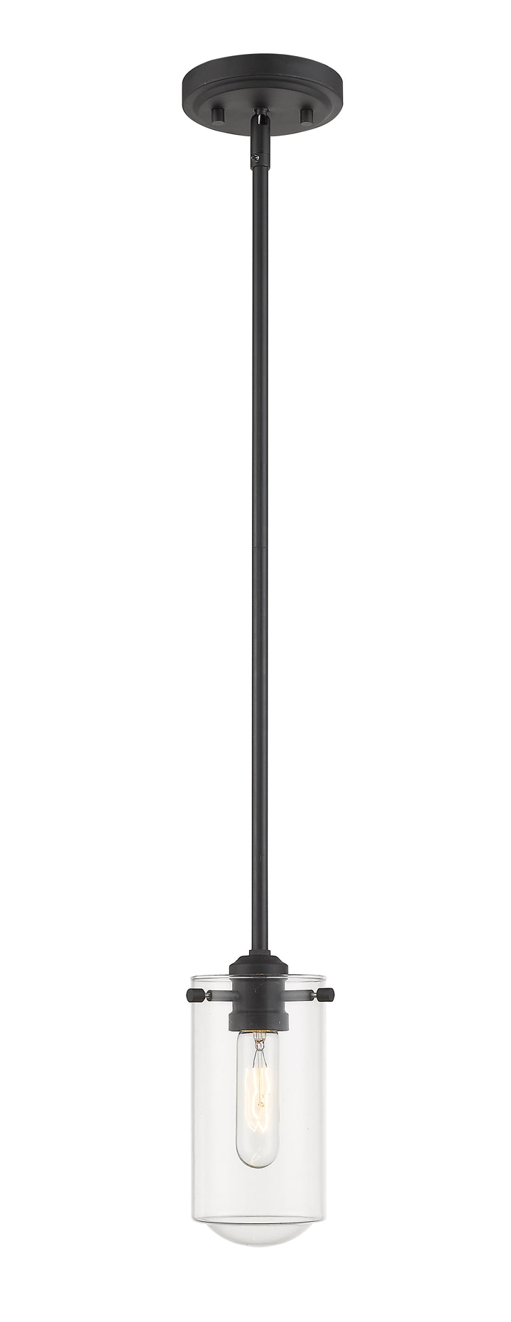 Delaney - 1 Light Pendant