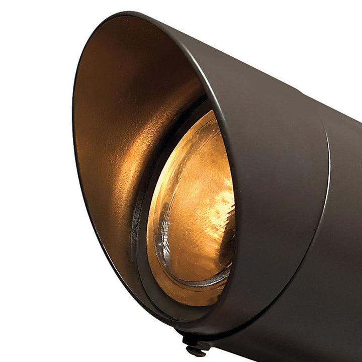Accent Spotlight