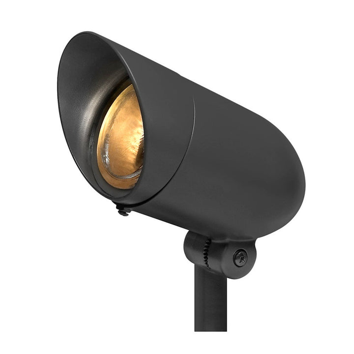 Accent Spotlight