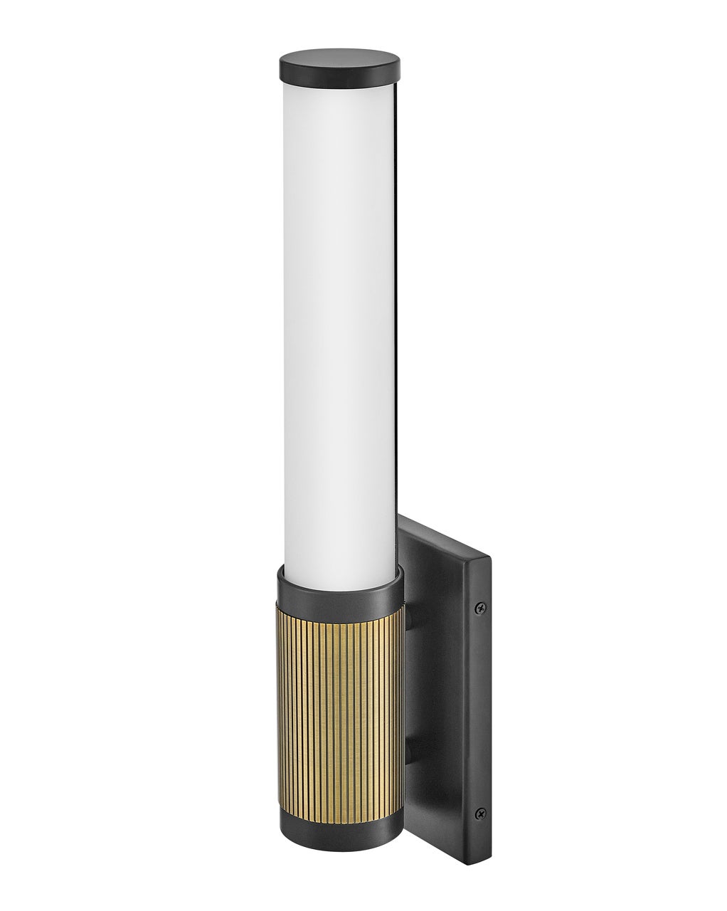 Zevi Medium LED Sconce