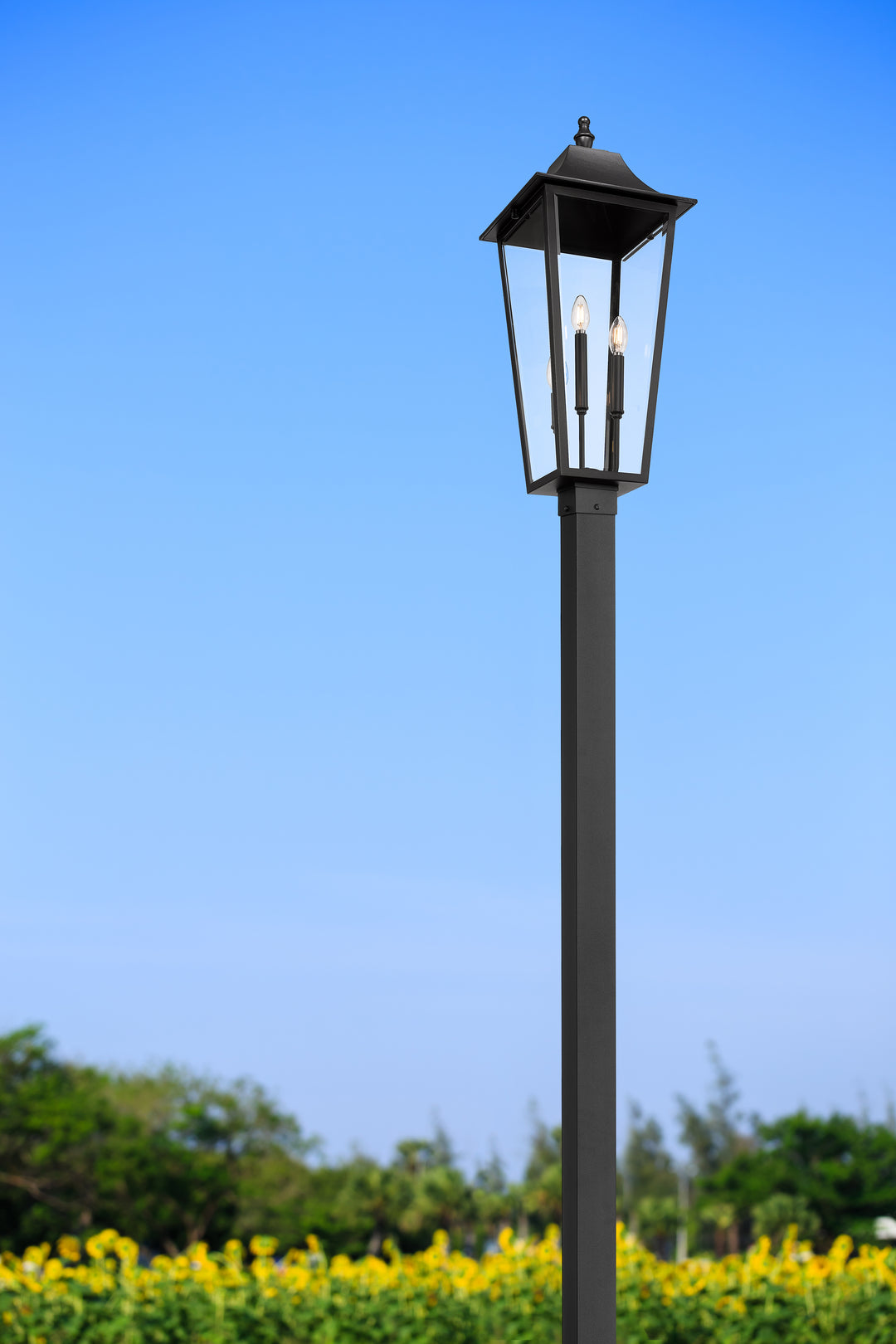 Gannon - 3 Light Outdoor Post Light (5008PHXLS-536P)