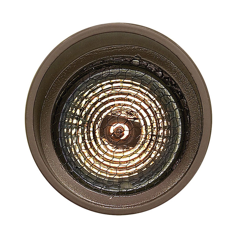 Accent Spotlight