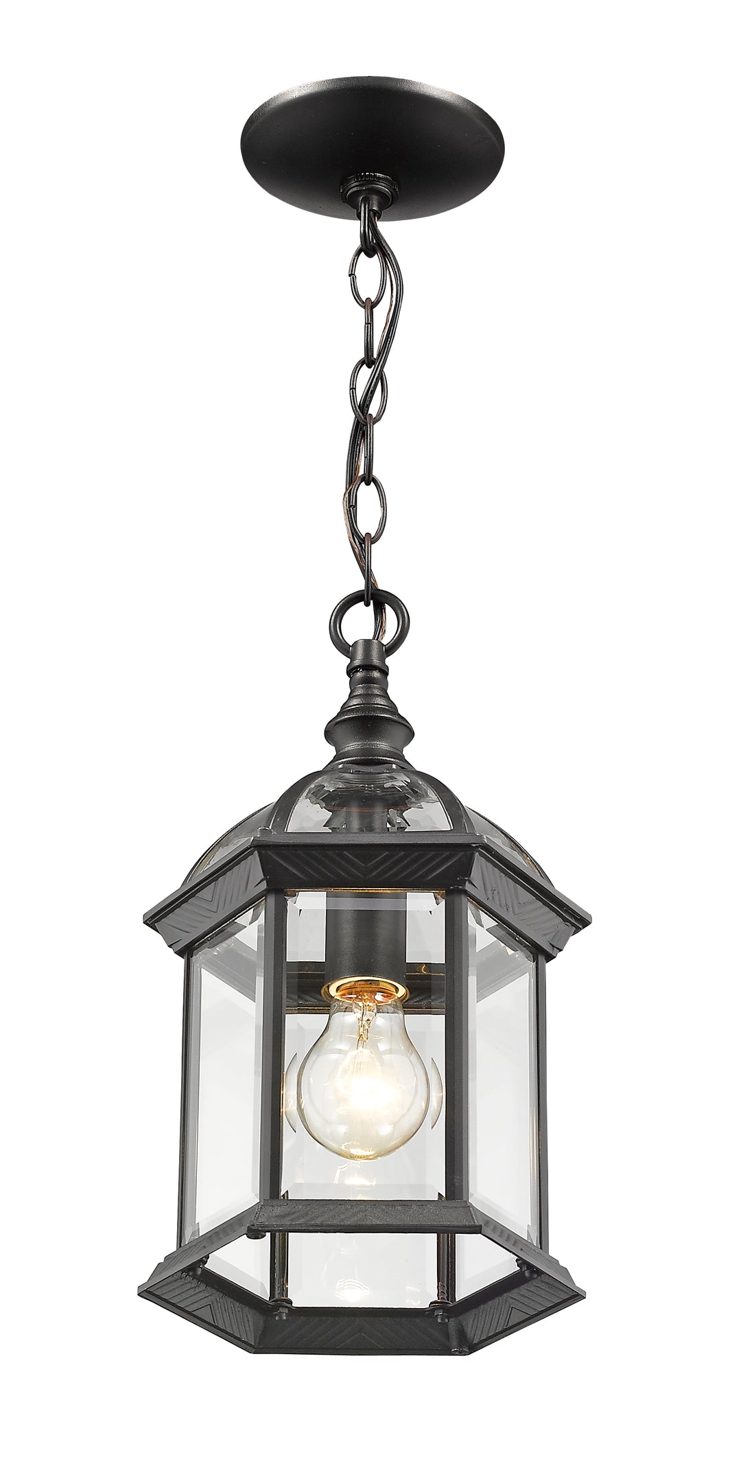 Annex - 1 Light Outdoor Pendant