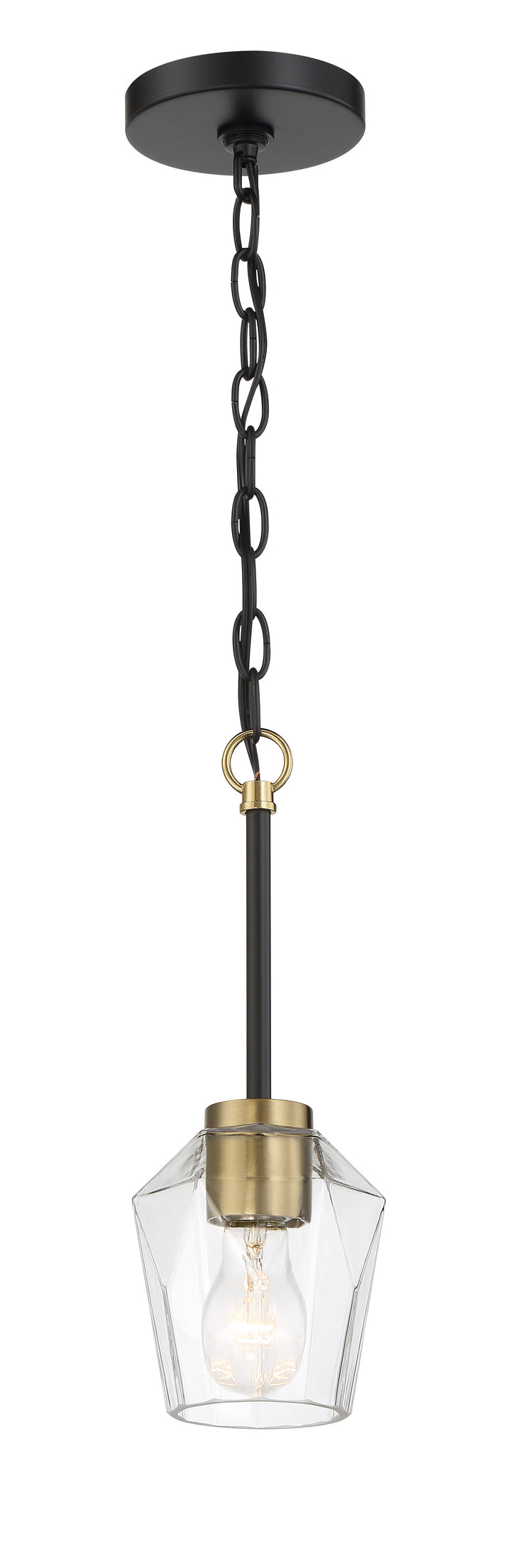 Avante Grand Pendant, 1-Light 5"W x 14"H, by Craftmade