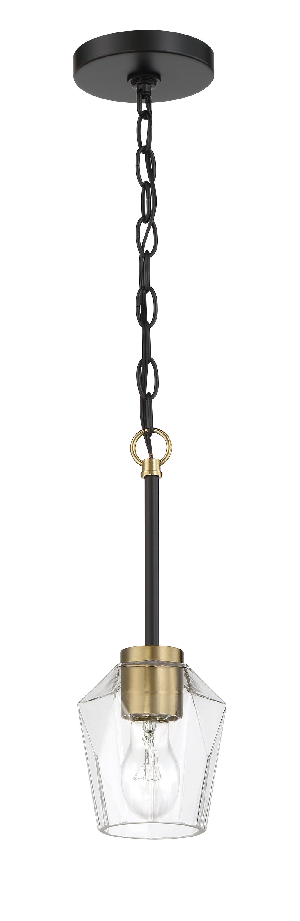 Avante Grand Pendant by Craftmade - view 2