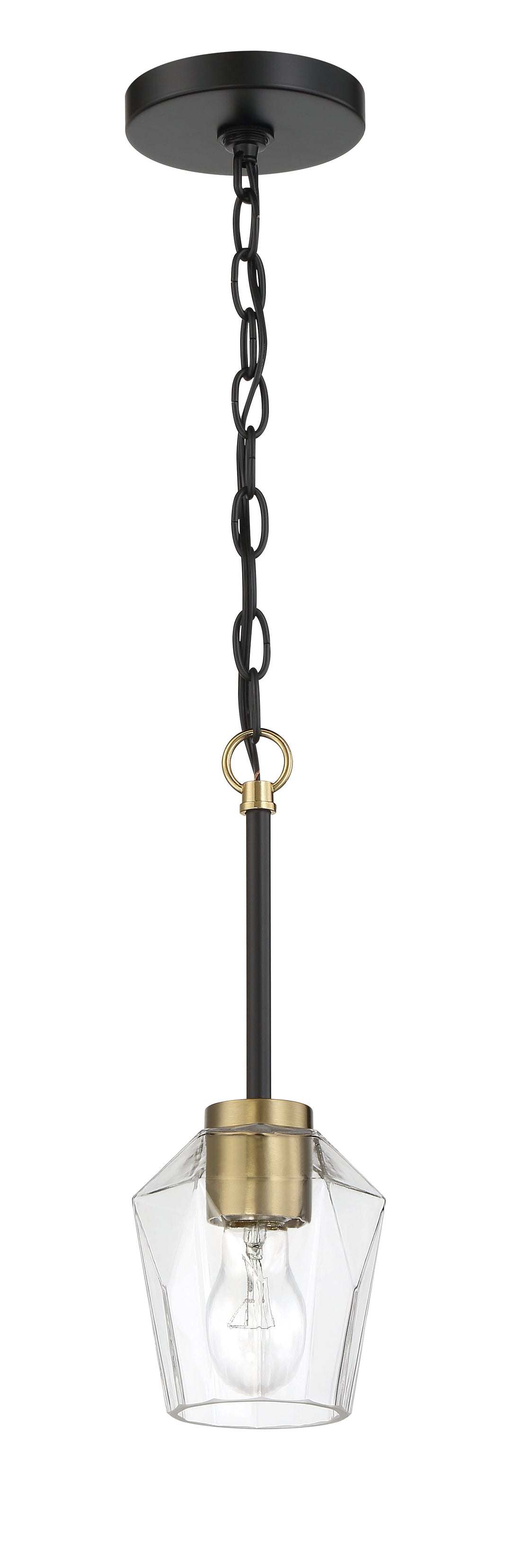 Avante Grand Pendant by Craftmade - view 2