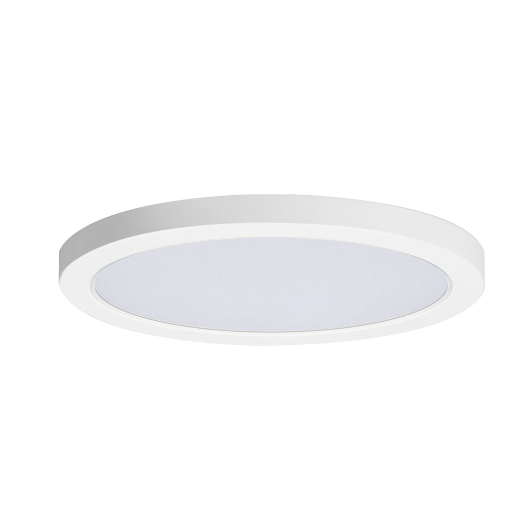 Chip RD LED Flush Mount