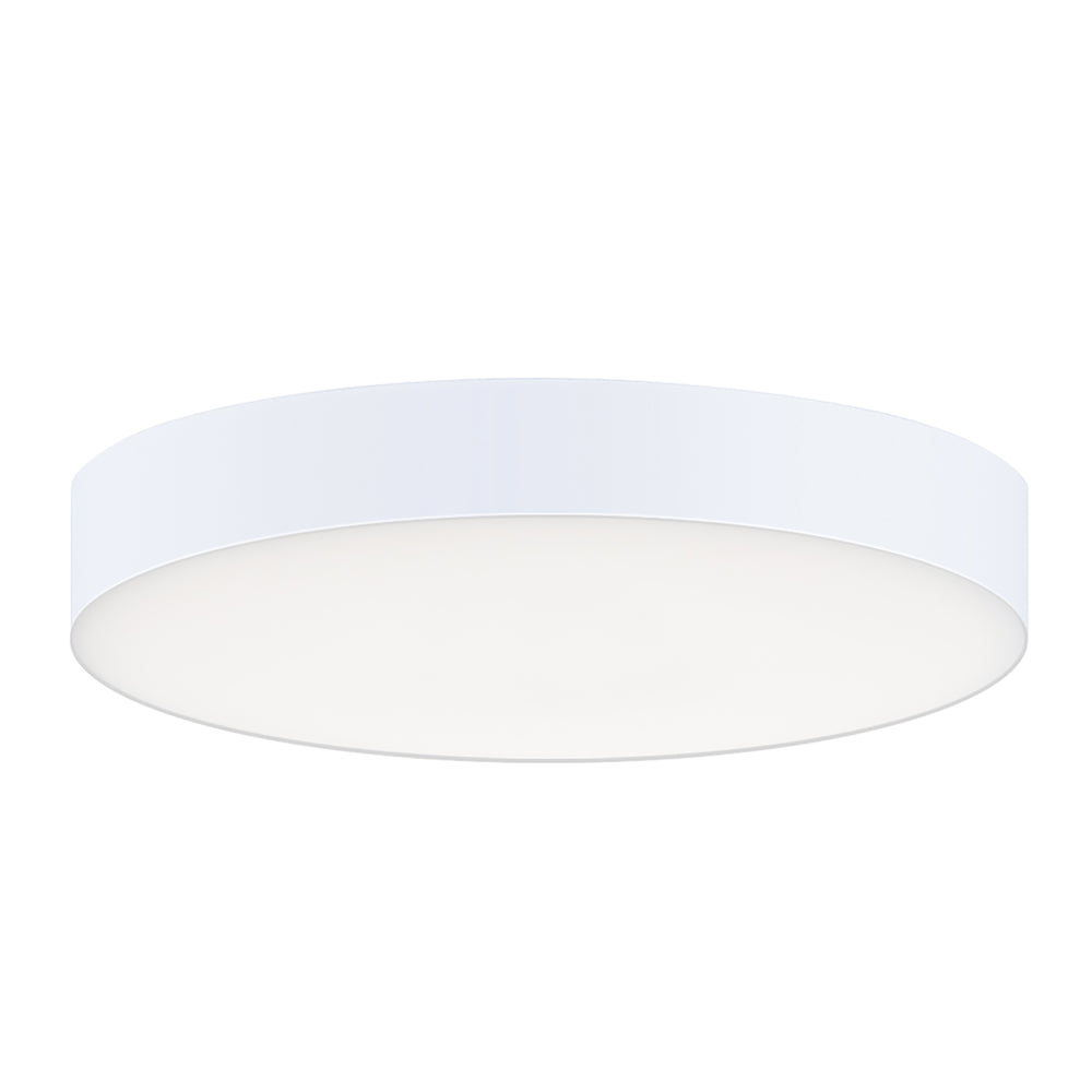 Trim Eco RD LED Flush Mount White / White