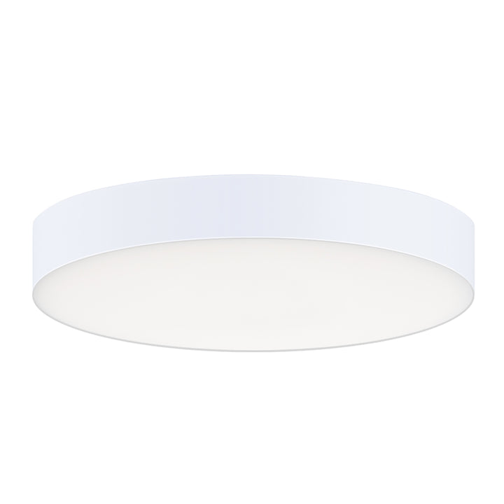 Trim Eco RD LED Flush Mount White / White