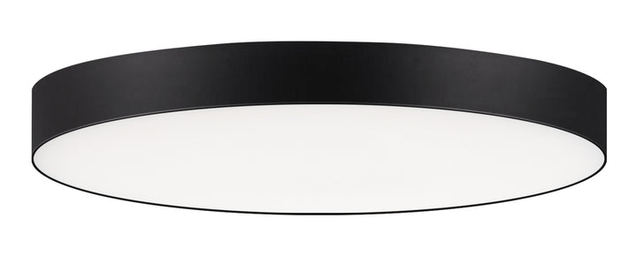 Trim Eco RD LED Flush Mount White / Black