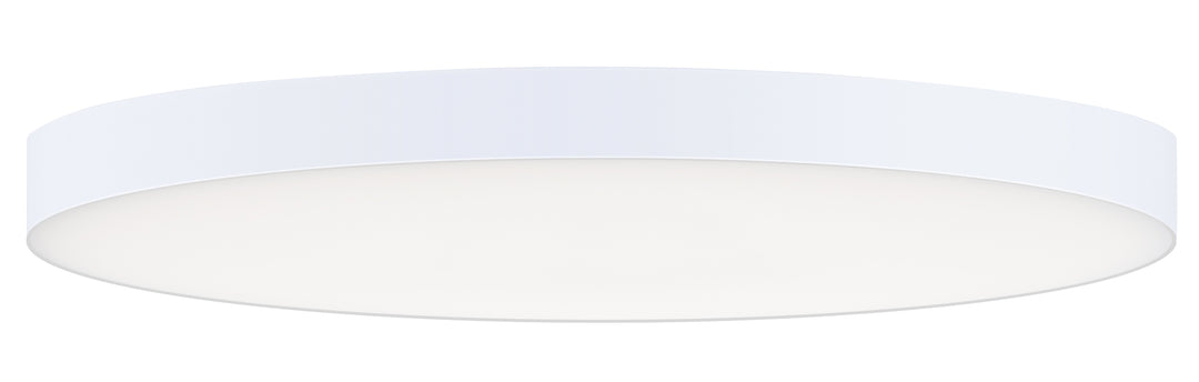 Trim Eco RD LED Flush Mount White / White