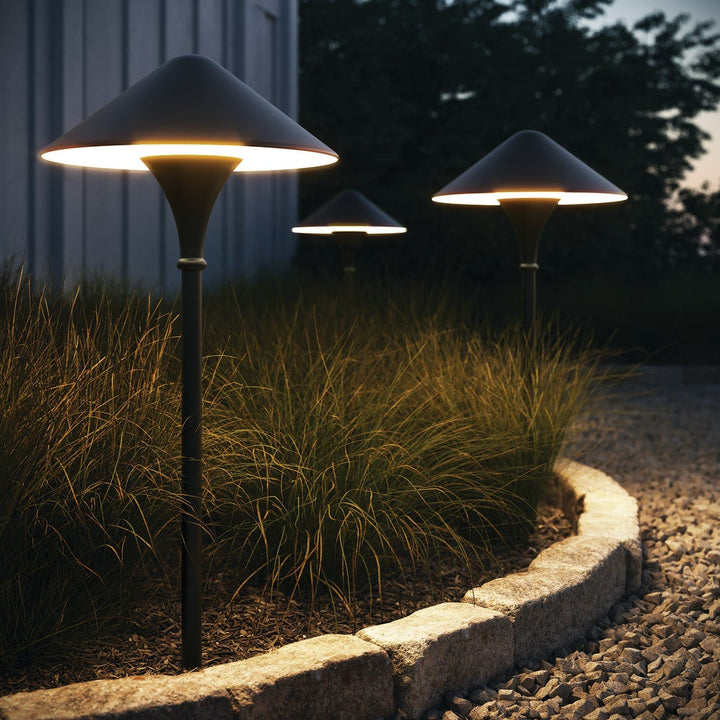 Apex 120V Path Light