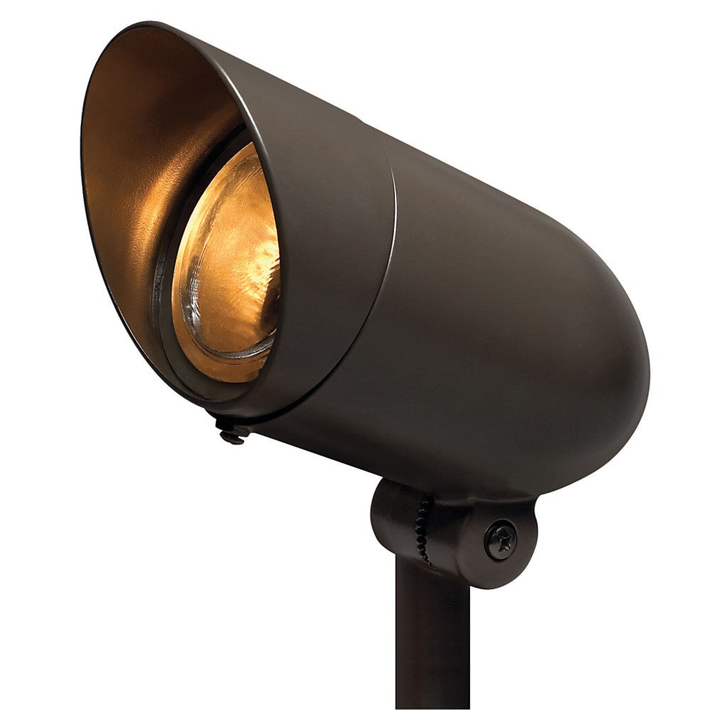 Accent Spotlight