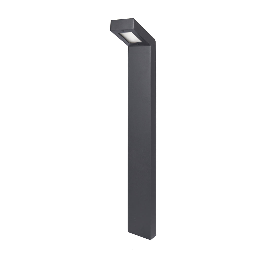 6021 Slope Path Light