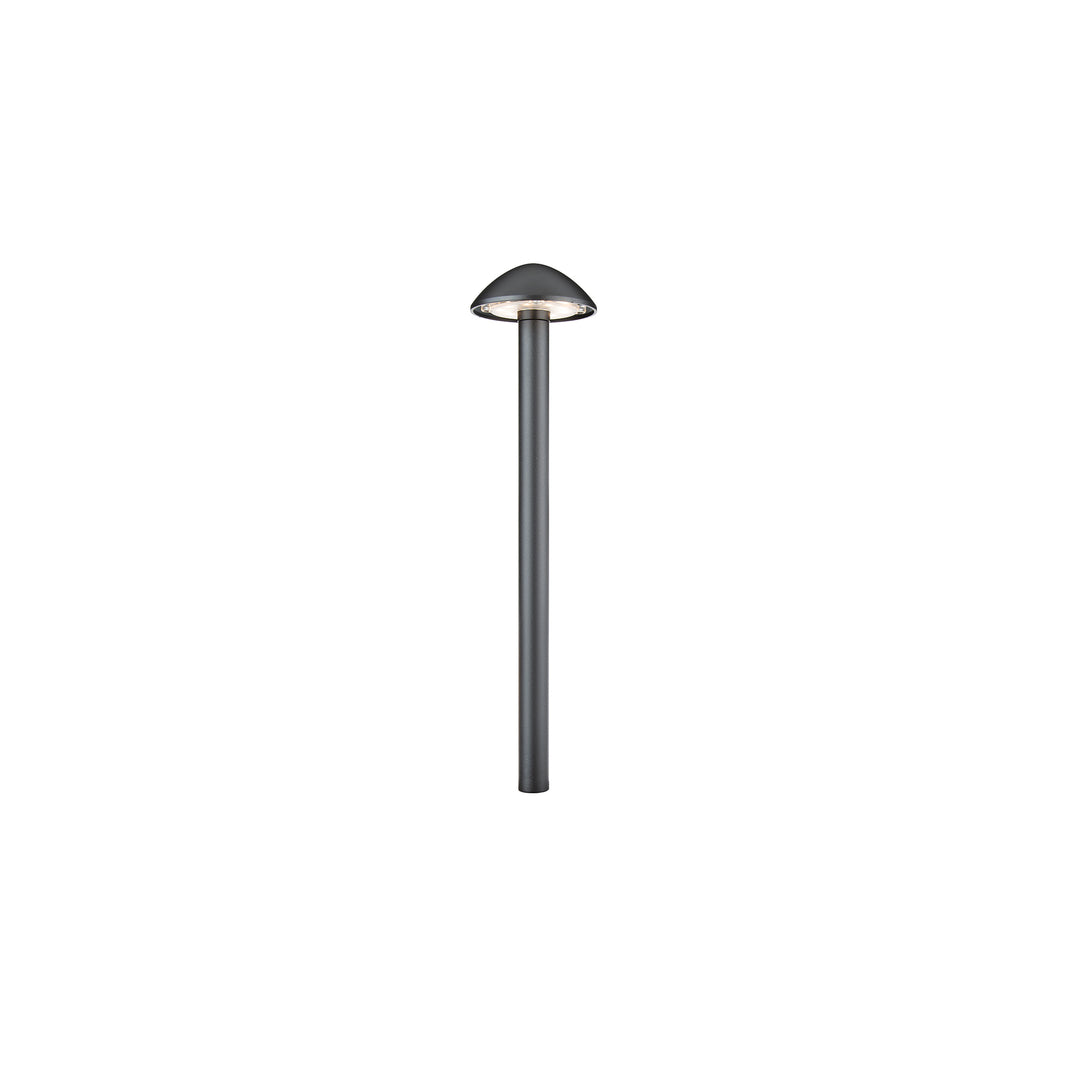 Interpath 12V Path Light
