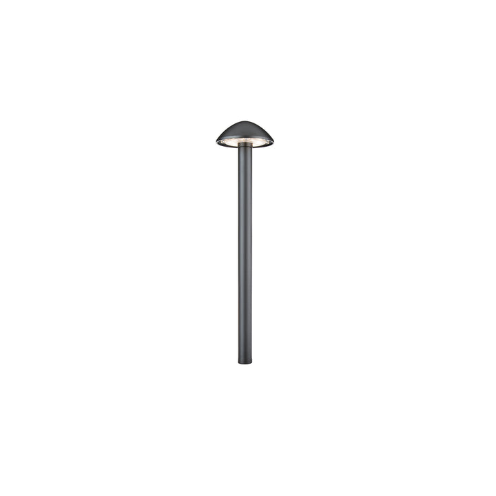Interpath 12V Path Light