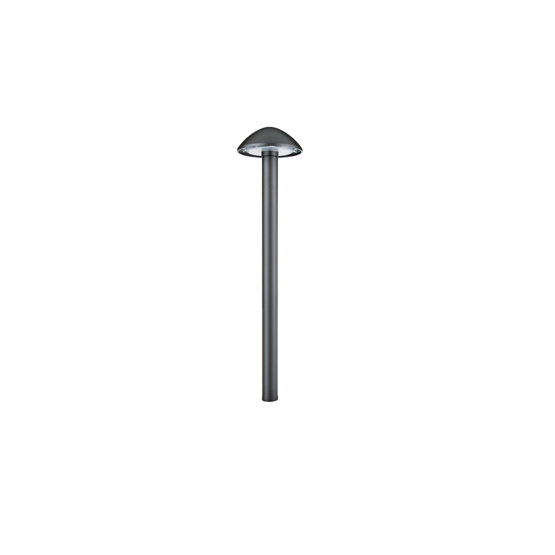Interpath 12V Path Light
