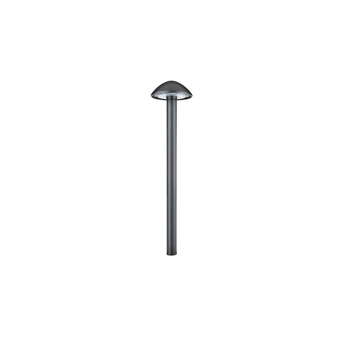 Interpath 12V Path Light
