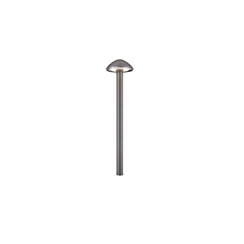 Interpath 12V Path Light