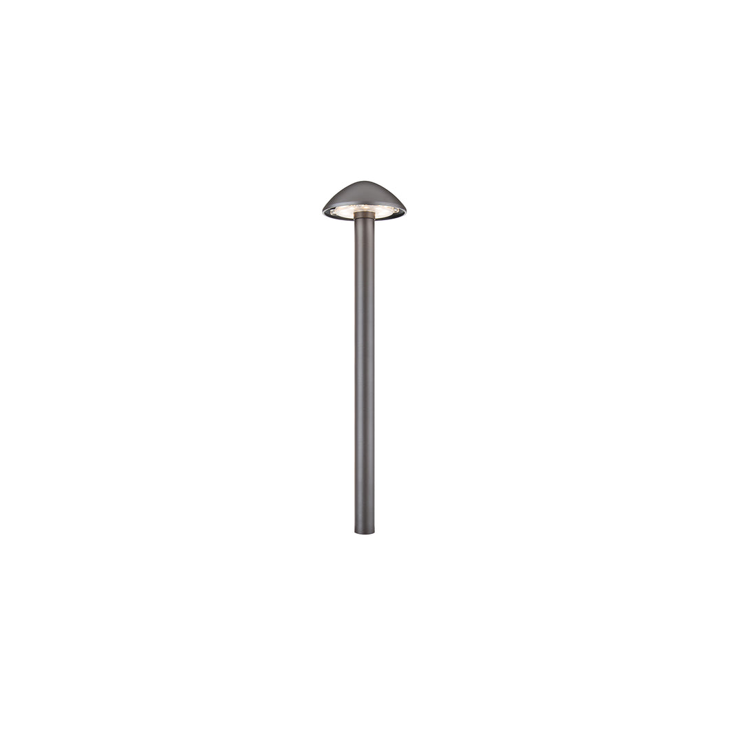 Interpath 12V Path Light
