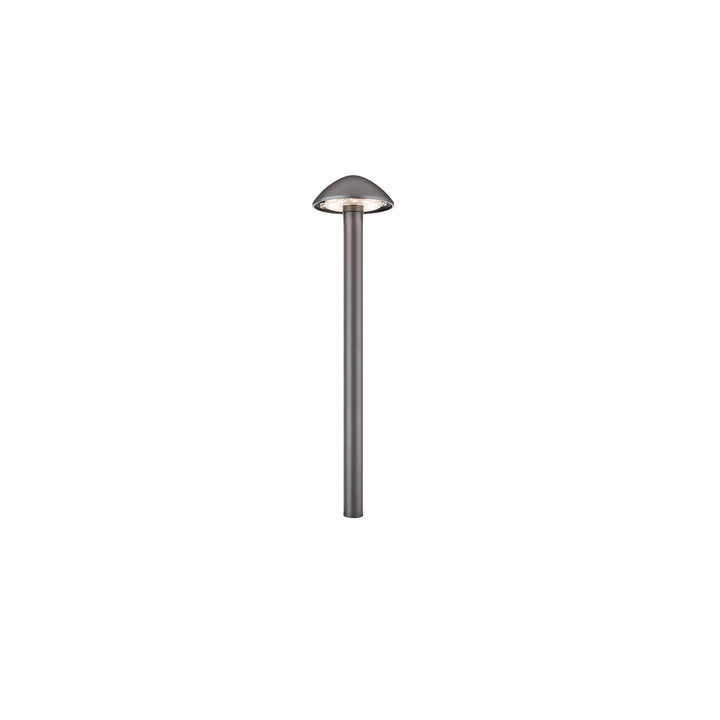 Interpath 12V Path Light