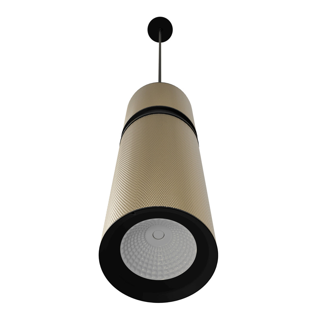 Cicada 10"H LED Pendant, Knurled Brass and Black