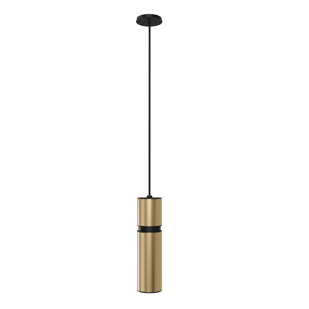 Cicada 10"H LED Pendant, Smooth Brass and Black