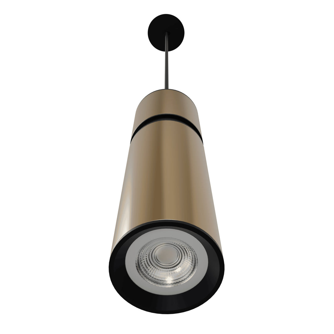 Cicada 10"H LED Pendant, Smooth Brass and Black