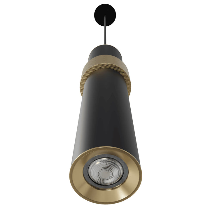 Cicada 10"H LED Pendant (HF1079)