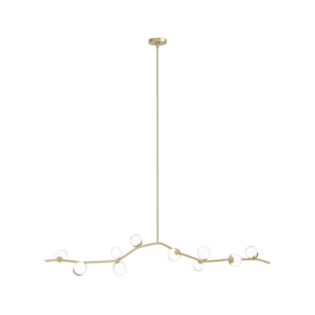 Hampton Chandelier Brass/Clear Glass by Avenue Lighting