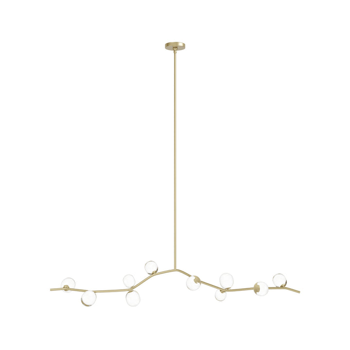 Hampton Chandelier Brass/Clear Glass by Avenue Lighting