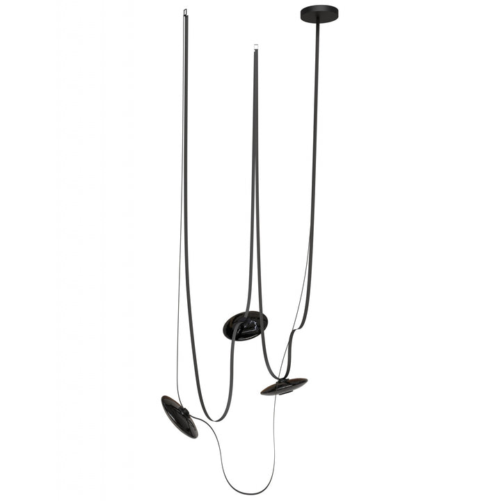 Fremont Belt Chandelier in Black/Smoked Glass Disc by Avenue Lighting