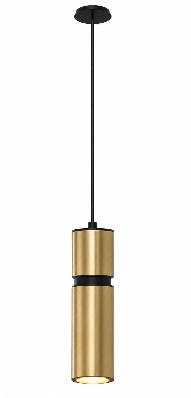 Cicada 10"H LED Pendant, Smooth Brass and Black