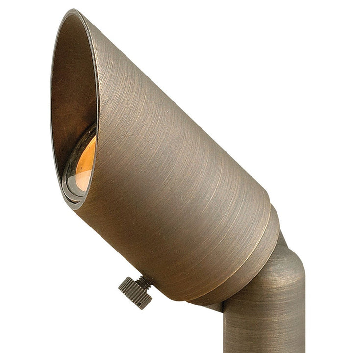 Hardy Island Accent Spotlight