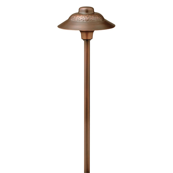 Essence 12V LED Path Light
