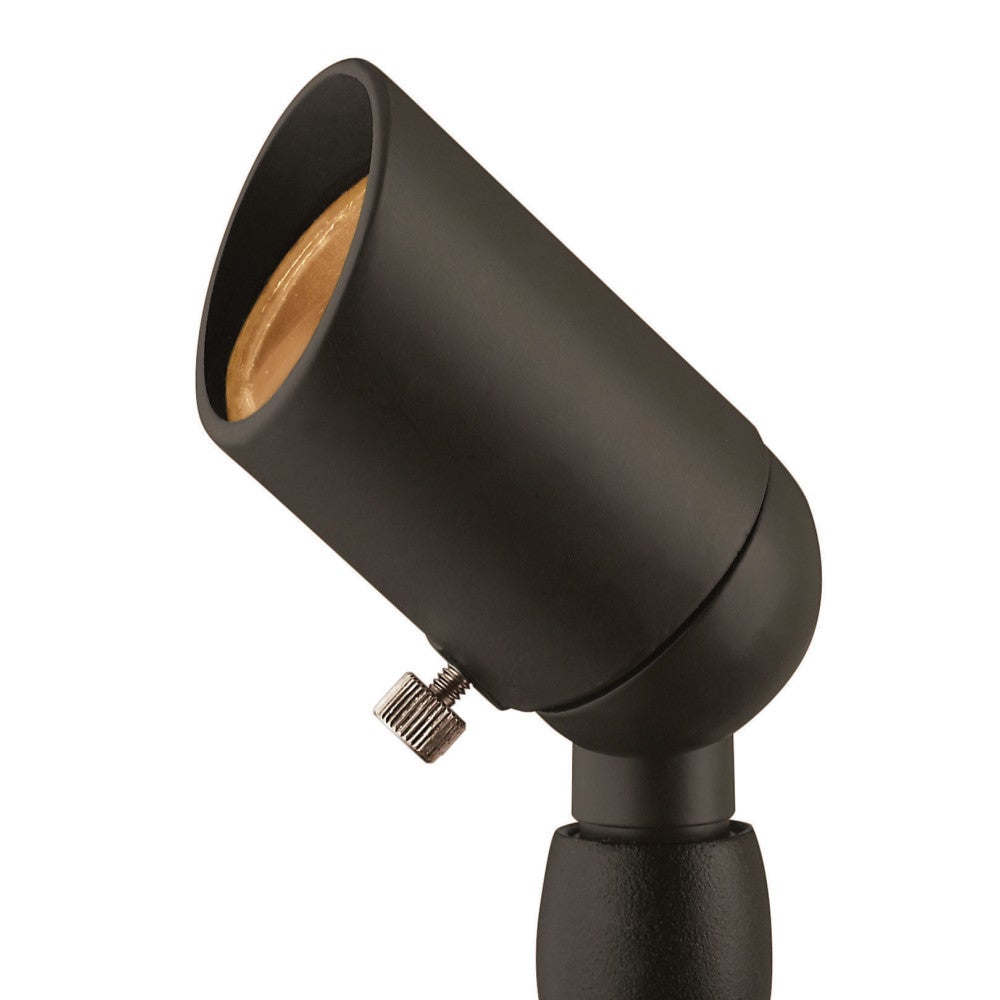 Accent Spotlight