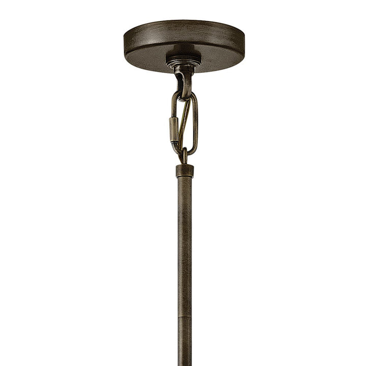 Ana Single Tier Chandelier by Hinkley - view 23