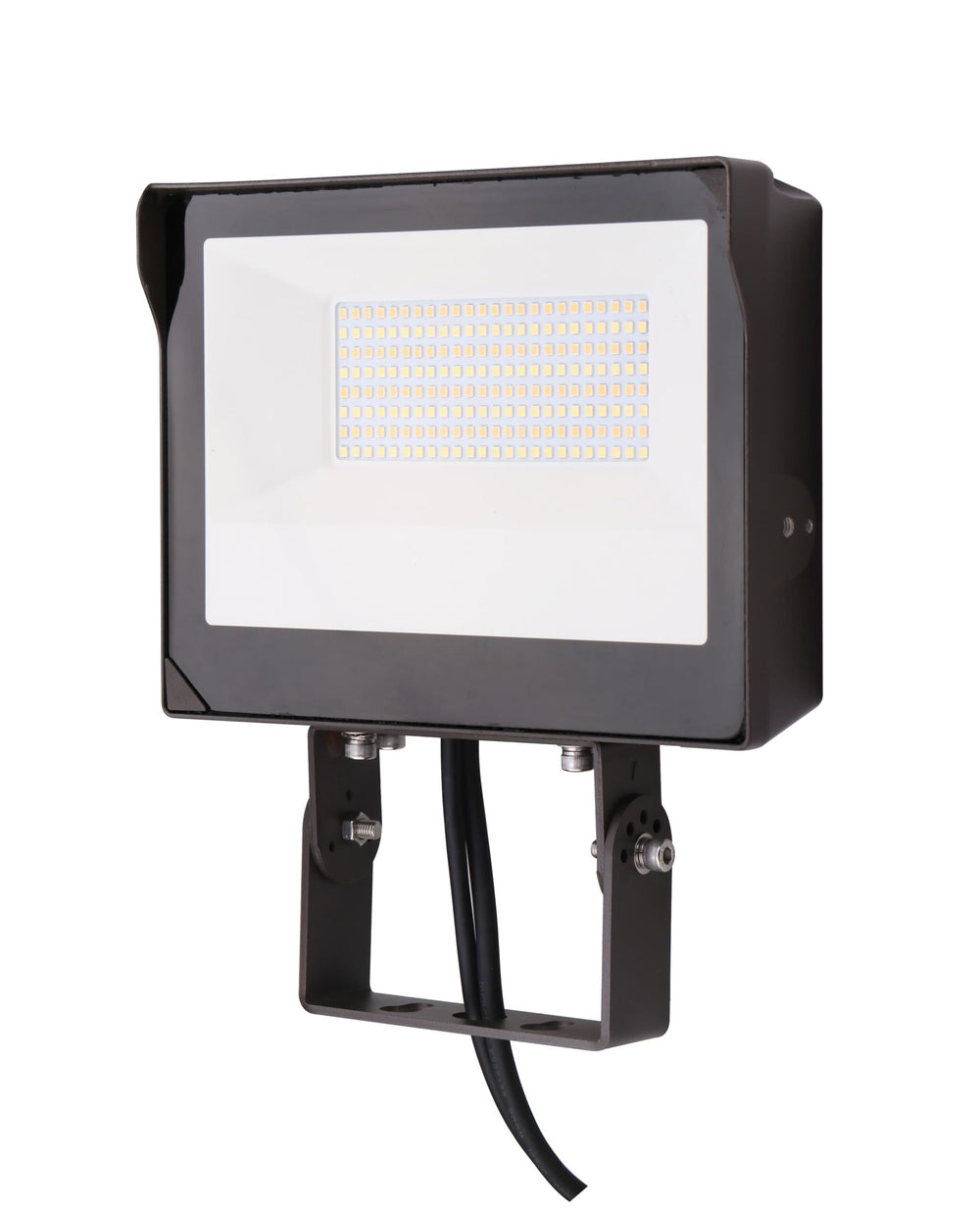 LED Multi-Voltage Flood Light