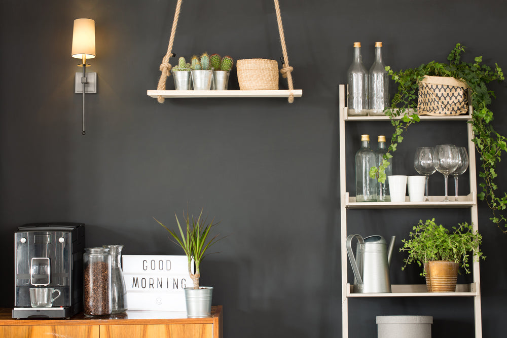 Camila - 1 Light Wall Sconce